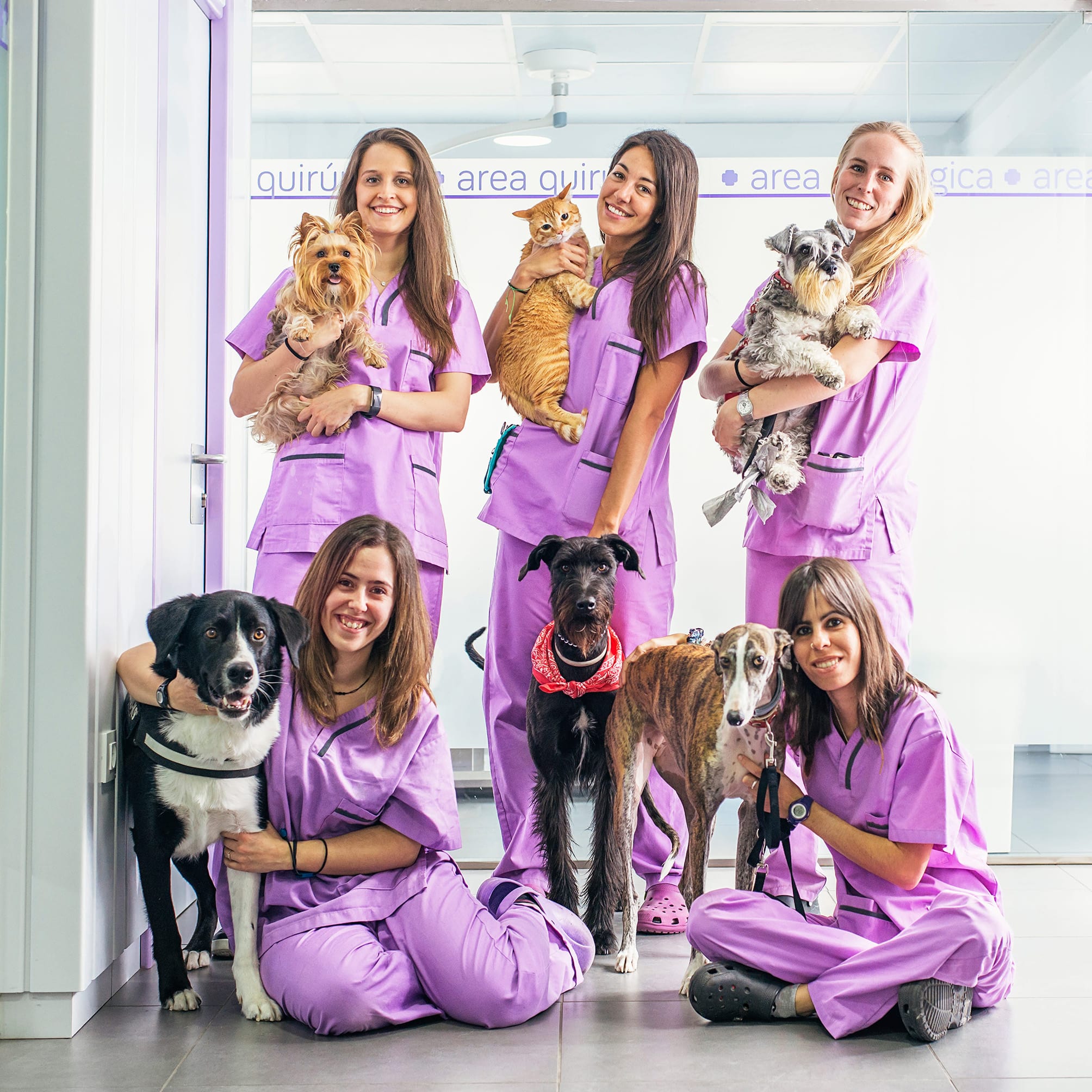 large team of veterinarians