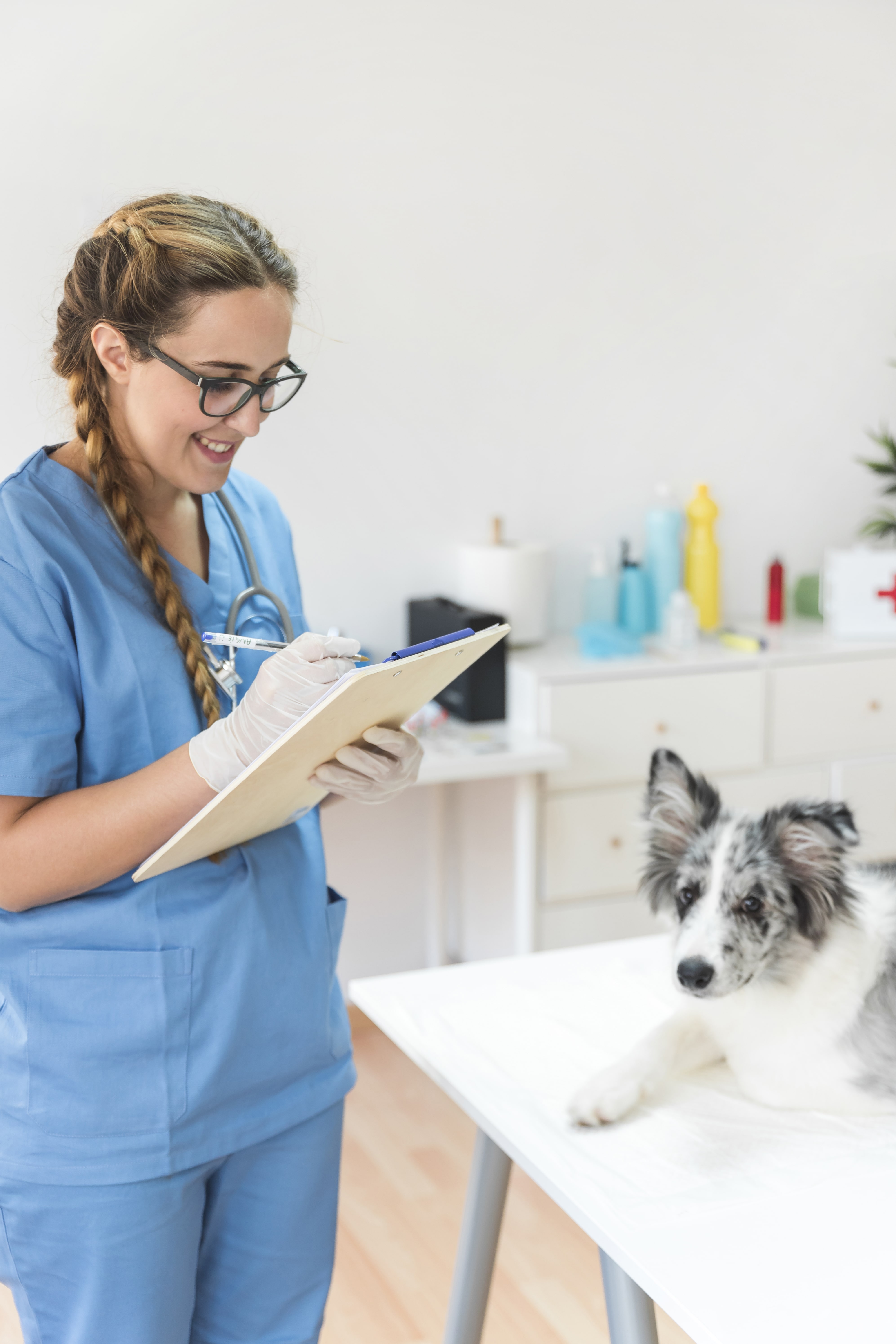 vet nurse writing perscription